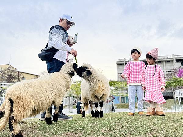 ★彰化親子景點推薦★『琉璃仙境』美照戲水放電一把抓 ★彰化親子景點推薦★『琉璃仙境』美照戲水放電一把抓