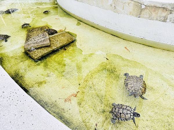 ★彰化親子景點推薦★『琉璃仙境』美照戲水放電一把抓 ★彰化親子景點推薦★『琉璃仙境』美照戲水放電一把抓