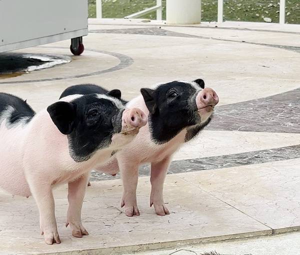 ★彰化親子景點推薦★『琉璃仙境』美照戲水放電一把抓 ★彰化親子景點推薦★『琉璃仙境』美照戲水放電一把抓