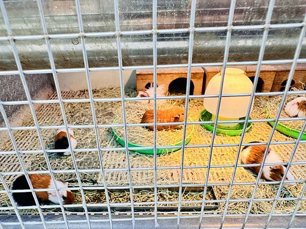 ★彰化親子景點推薦★『琉璃仙境』美照戲水放電一把抓 ★彰化親子景點推薦★『琉璃仙境』美照戲水放電一把抓