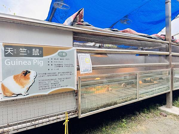 ★彰化親子景點推薦★『琉璃仙境』美照戲水放電一把抓 ★彰化親子景點推薦★『琉璃仙境』美照戲水放電一把抓