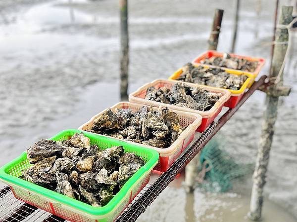 ★彰化親子景點★王功漁港, ★彰化親子景點★王功漁港,