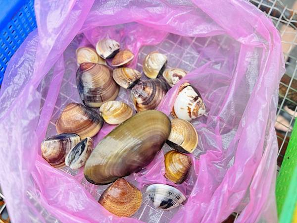 ★彰化親子景點★王功漁港, ★彰化親子景點★王功漁港,