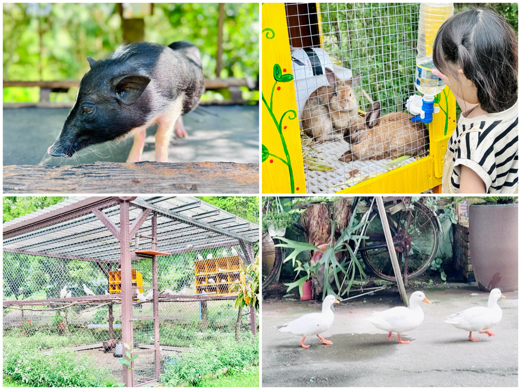 ★嘉義親子露營住宿推薦★『築夢森居』體驗一泊二食野奢露營車, ★嘉義親子露營住宿推薦★『築夢森居』體驗一泊二食野奢露營車,