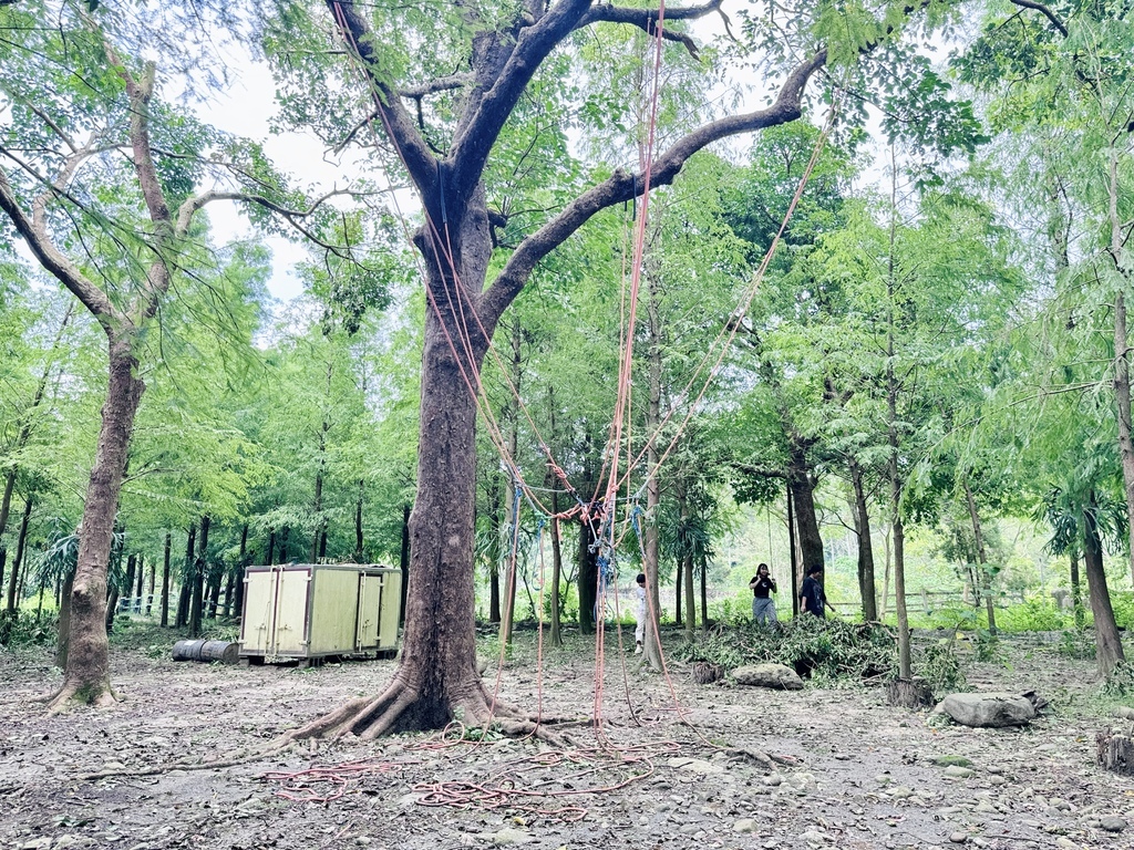 ★嘉義親子露營住宿推薦★『築夢森居』體驗一泊二食野奢露營車, ★嘉義親子露營住宿推薦★『築夢森居』體驗一泊二食野奢露營車,
