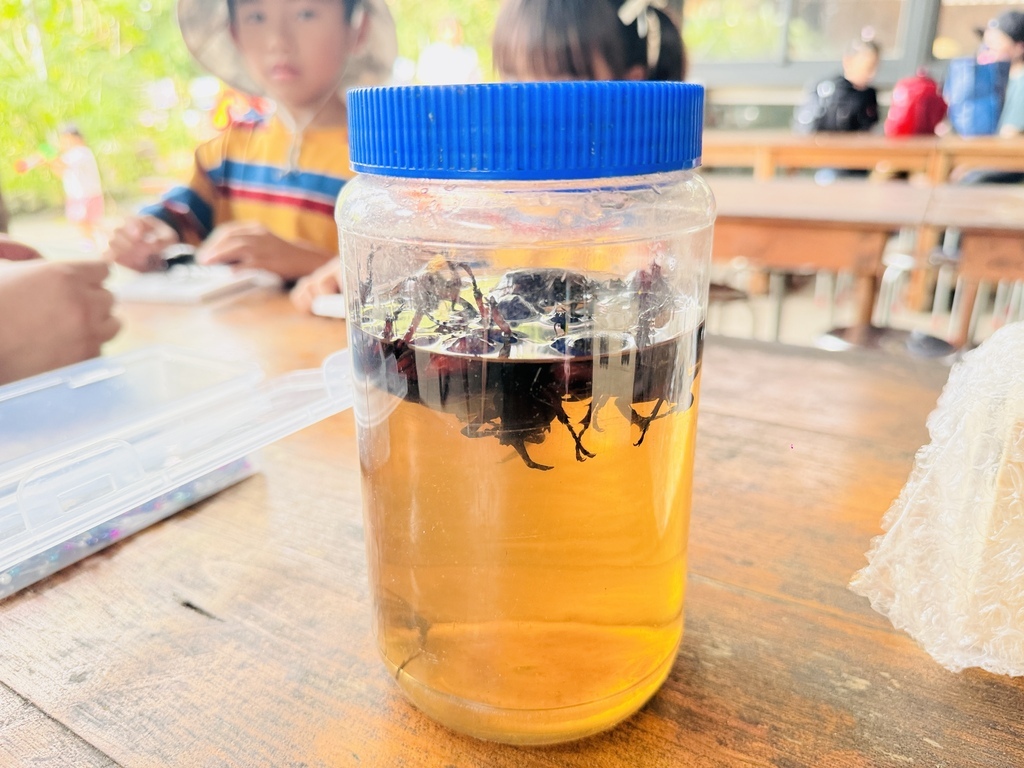 ★嘉義親子露營住宿推薦★『築夢森居』體驗一泊二食野奢露營車, ★嘉義親子露營住宿推薦★『築夢森居』體驗一泊二食野奢露營車,