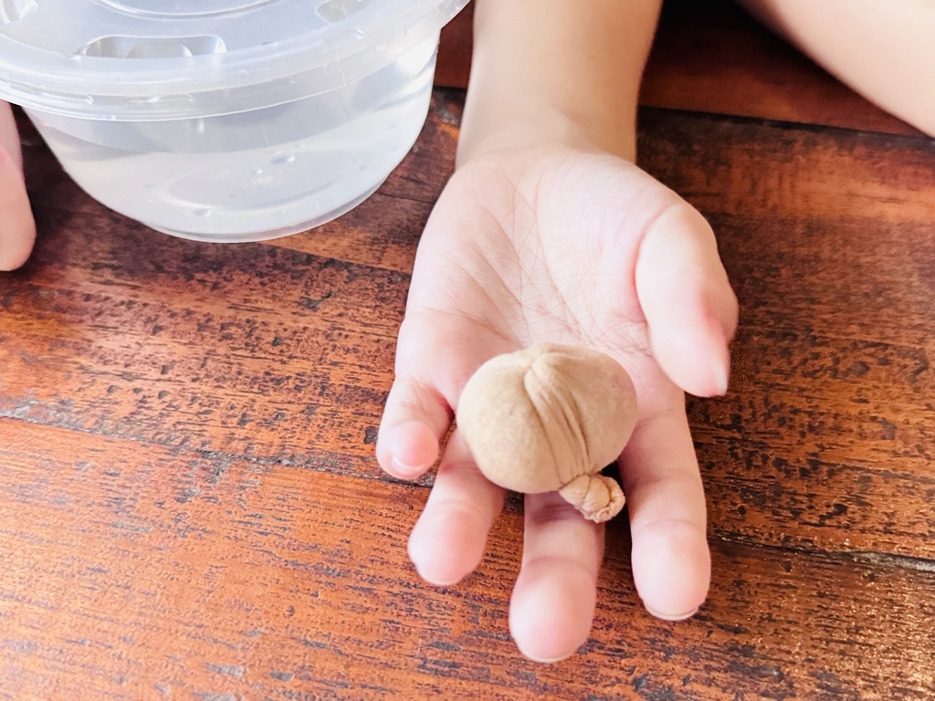 ★嘉義親子露營住宿推薦★『築夢森居』體驗一泊二食野奢露營車, ★嘉義親子露營住宿推薦★『築夢森居』體驗一泊二食野奢露營車,