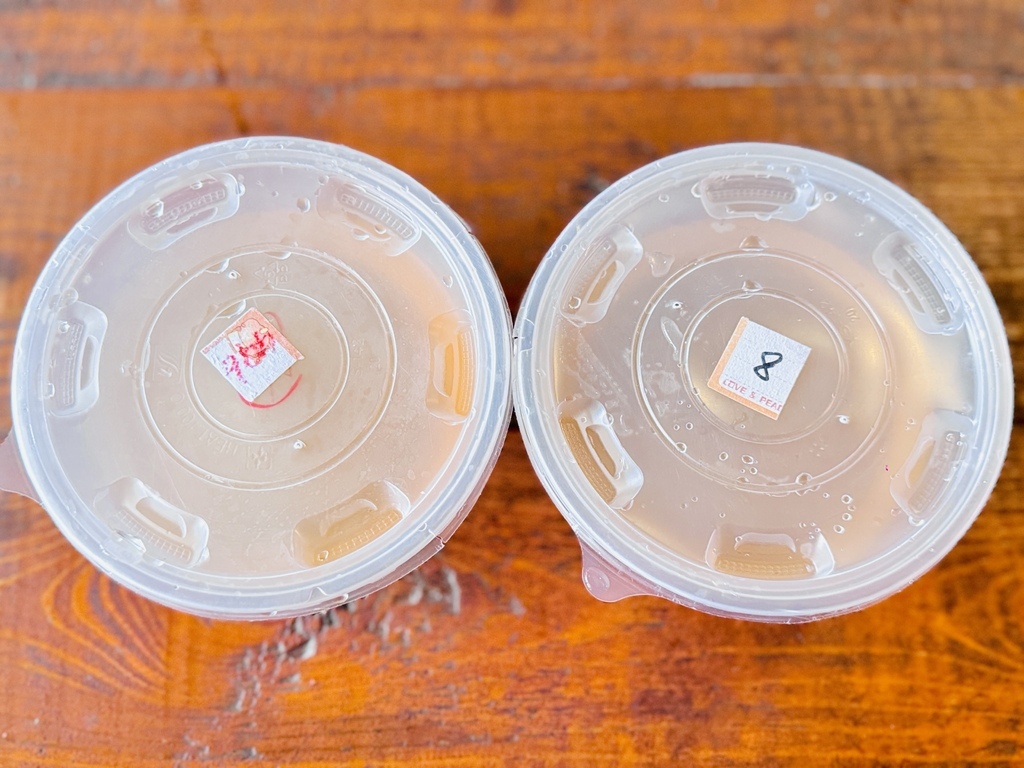 ★嘉義親子露營住宿推薦★『築夢森居』體驗一泊二食野奢露營車, ★嘉義親子露營住宿推薦★『築夢森居』體驗一泊二食野奢露營車,