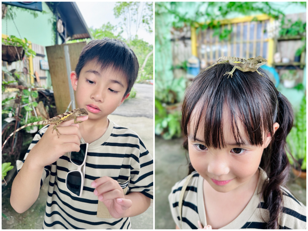 ★嘉義親子露營住宿推薦★『築夢森居』體驗一泊二食野奢露營車, ★嘉義親子露營住宿推薦★『築夢森居』體驗一泊二食野奢露營車,