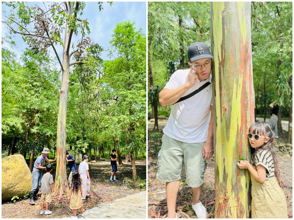★嘉義親子露營住宿推薦★『築夢森居』體驗一泊二食野奢露營車, ★嘉義親子露營住宿推薦★『築夢森居』體驗一泊二食野奢露營車,