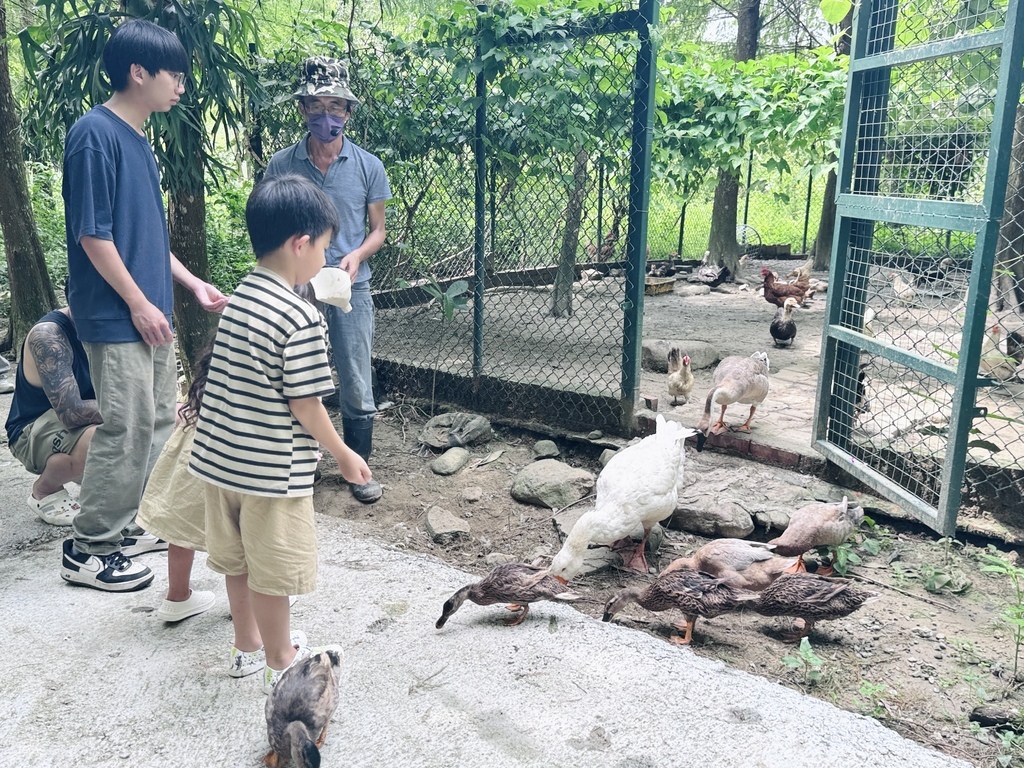 ★嘉義親子露營住宿推薦★『築夢森居』體驗一泊二食野奢露營車, ★嘉義親子露營住宿推薦★『築夢森居』體驗一泊二食野奢露營車,
