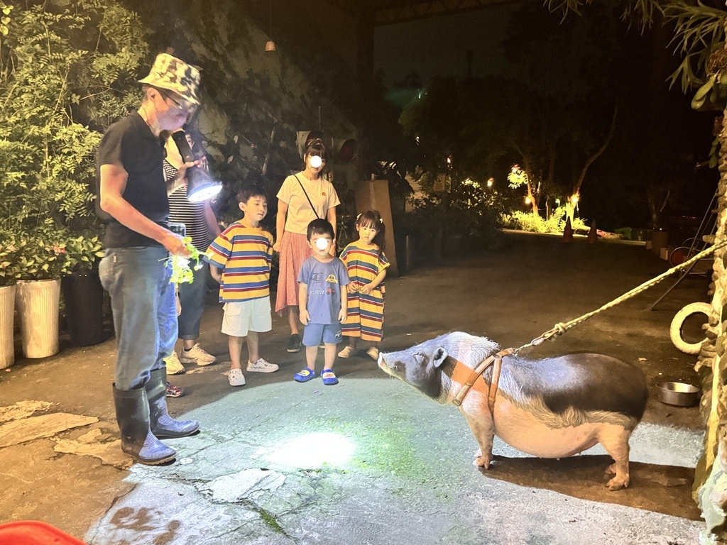 ★嘉義親子露營住宿推薦★『築夢森居』體驗一泊二食野奢露營車, ★嘉義親子露營住宿推薦★『築夢森居』體驗一泊二食野奢露營車,