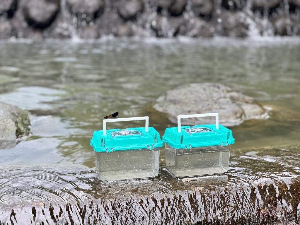 ★桃園親子景點推薦★『千層瀑布』夏日消暑秘境,免上山就能抵達 ★桃園親子景點推薦★『千層瀑布』夏日消暑秘境,免上山就能抵達