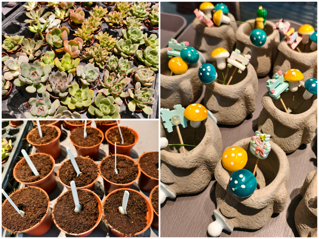 ★彰化親子露營推薦★哈比雪兒豪華懶人露營,一泊二食 ★彰化親子露營推薦★哈比雪兒豪華懶人露營,一泊二食