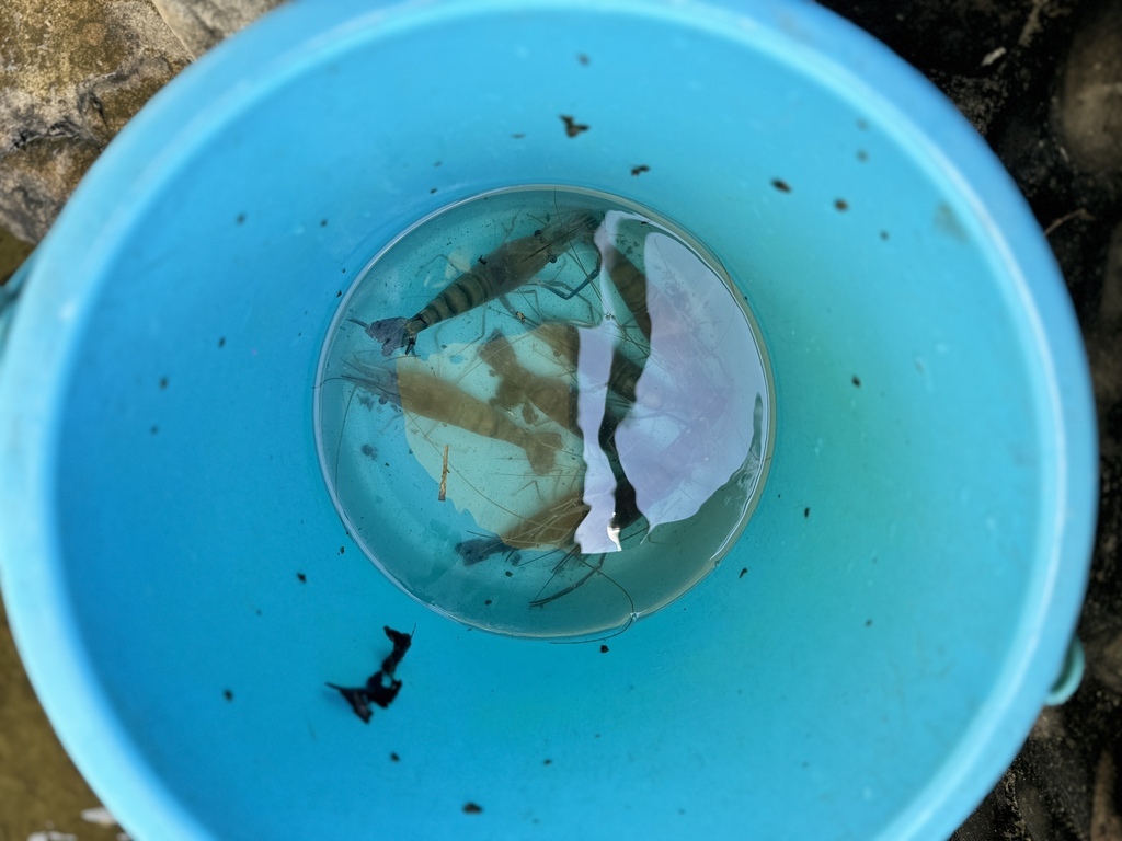 ★宜蘭親子景點推薦★『 輕親魚朵生態園區 』免門票入園參觀, ★宜蘭親子景點推薦★『 輕親魚朵生態園區 』免門票入園參觀,