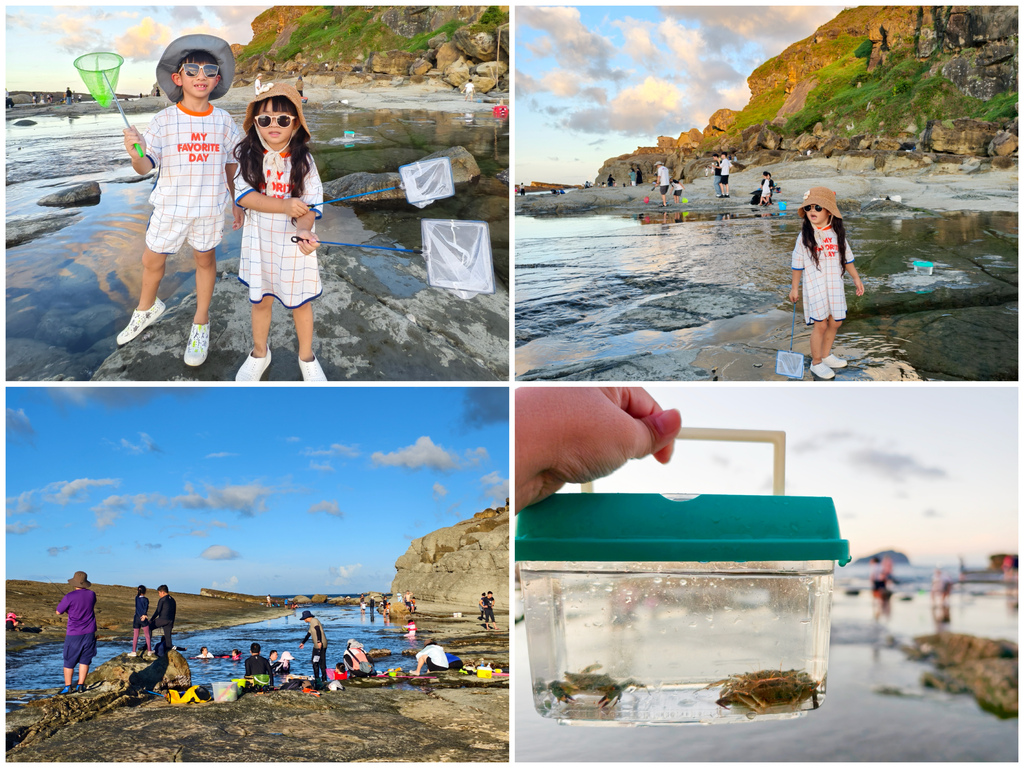 ★基隆親子景點推薦★『大坪海岸』免費親子秘境,豐富潮間帶生態 ★基隆親子景點推薦★『大坪海岸』免費親子秘境,豐富潮間帶生態