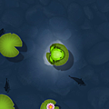 pocket frogs 018.png