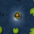 pocket frogs 029.png