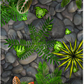 pocket frogs2.png