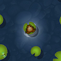 pocket frogs 013.png