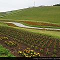 日出公園 9.JPG