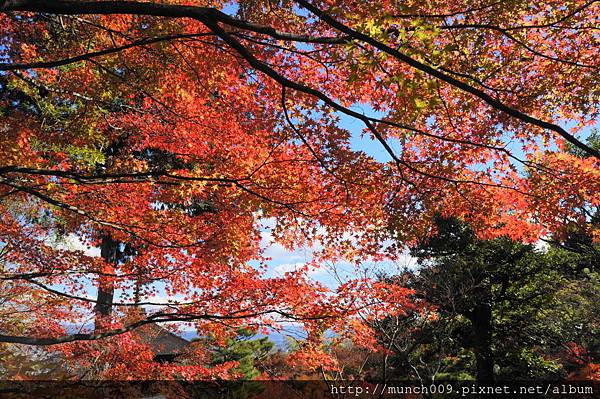 常寂光寺0020.JPG