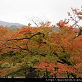 清水寺0003.JPG