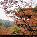 清水寺0015.JPG