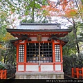 八坂神社0021.JPG