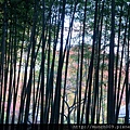 御髪神社野宮神社0011.JPG