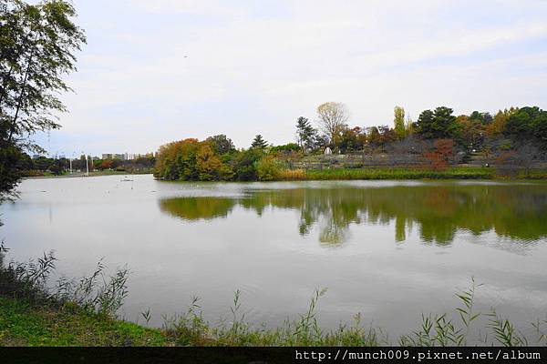 大阪花博紀念公園0005.JPG