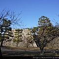 元離宮二条城0022.JPG