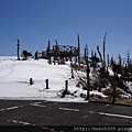 八幡平見返峠0018.JPG