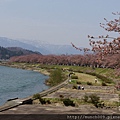 角館及桧木內川堤0015.JPG