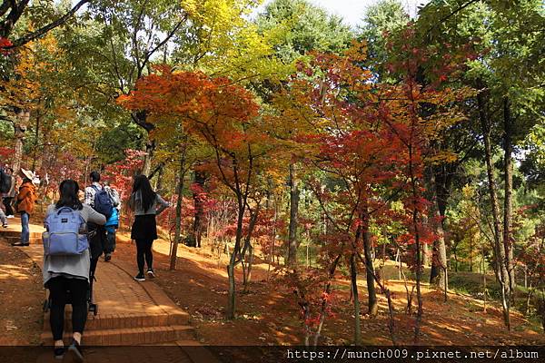 昆明黑龍潭公園0018.JPG