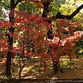 昆明黑龍潭公園0023.JPG