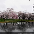 弘前城公園賞櫻0018.JPG