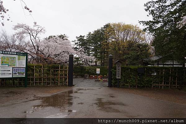 弘前城公園賞櫻0030.JPG