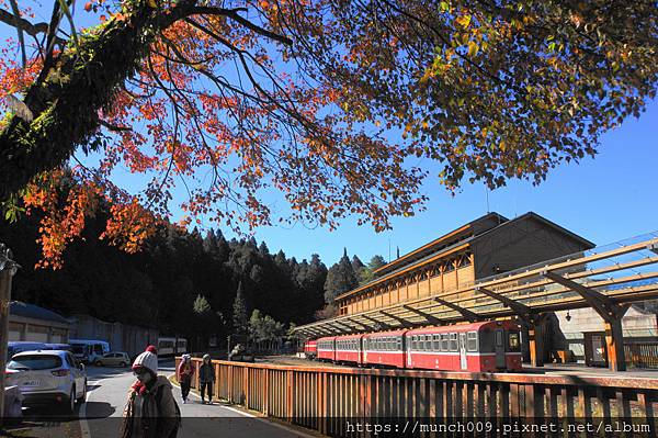 阿里山賞楓-沼平車站0004.JPG