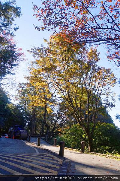 阿里山賞楓-沼平車站0013.JPG