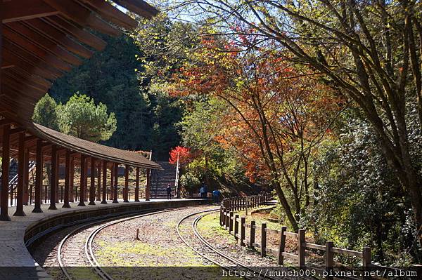 阿里山賞楓-對高岳車站0011.JPG