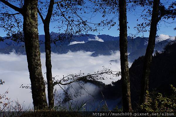 對高岳賞楓0012.JPG