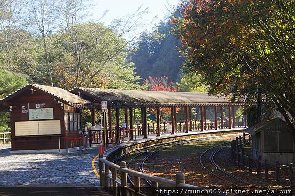 對高岳賞楓0024.JPG