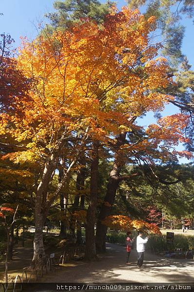 岩手縣毛越寺0006.JPG