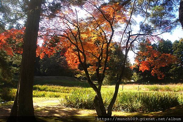 岩手縣毛越寺0010.JPG