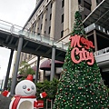 021218 (1091).JPG