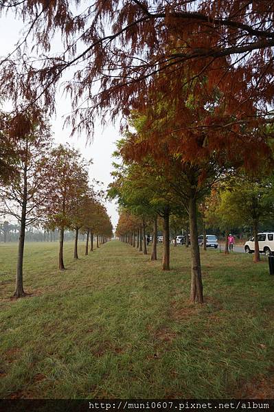 031101 (1046).JPG