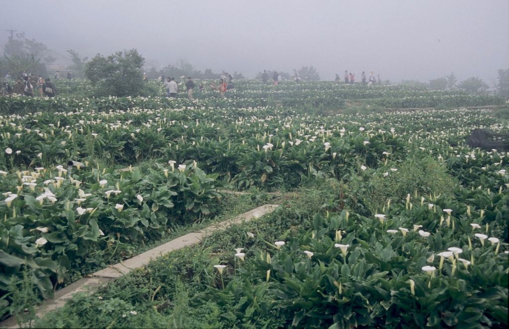 Image1.jpg Image1.jpg