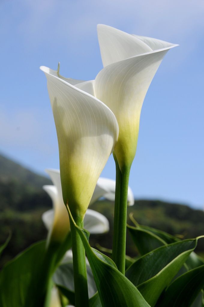 DSC_4835.jpg DSC_4835.jpg