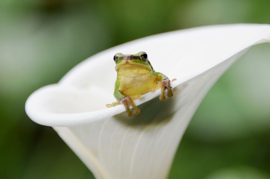 馮欄g.jpg 馮欄g.jpg